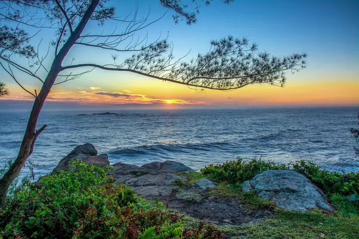 Céu alaranjado sobre o mar visto do costão, emoldurado por galhos de árvore e vegetação de restinga