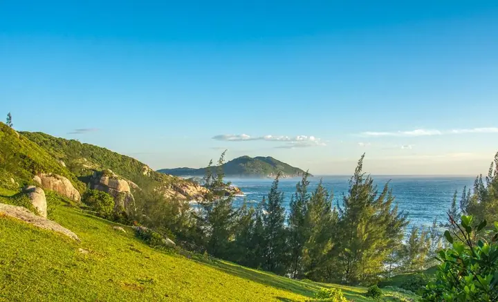 Morro gramado com árvores e pedras, o mar e uma ilha ao fundo sob céu azul